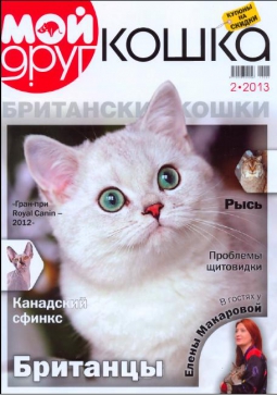 silver-ameli-of-golden-neko-moj-drug-koshka-2013-2