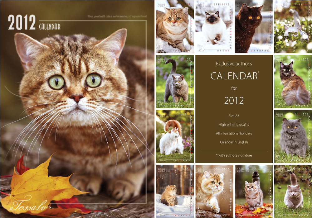 Календарь с кошками 2012 (Часть 2) | Сайт питомника Golden Neko
